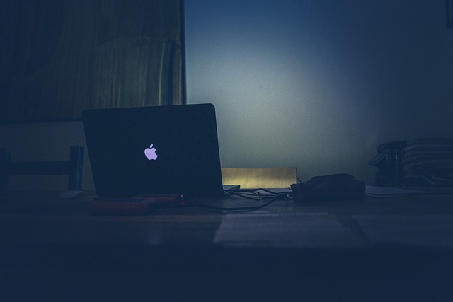 Navigeren door de wereld van softwarebedrijven: successen, uitdagingen en toekomstige trends